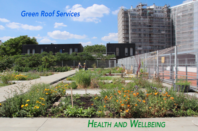 green roof service - health and wellbeing