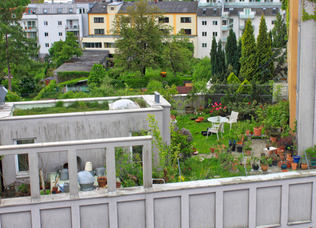 Intensive green roof - Linz Austria