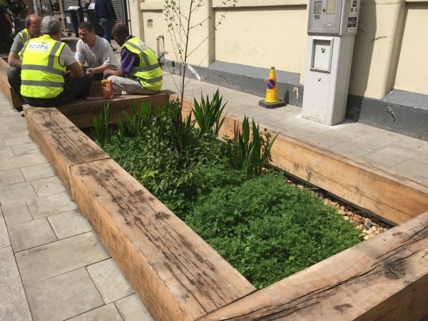 small rain garden as green infrastructure