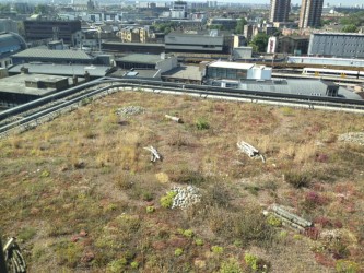 Good quality green roofs can be installed