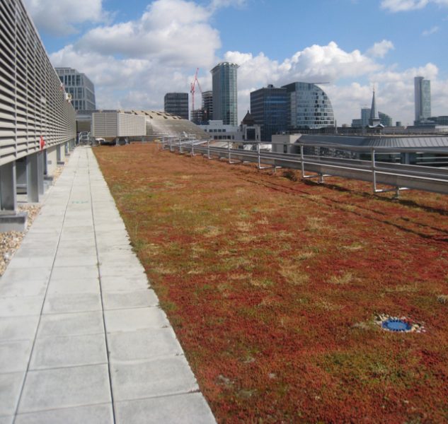 extensive green roofs - sedum blanket