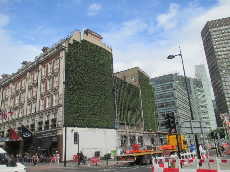green walls - London