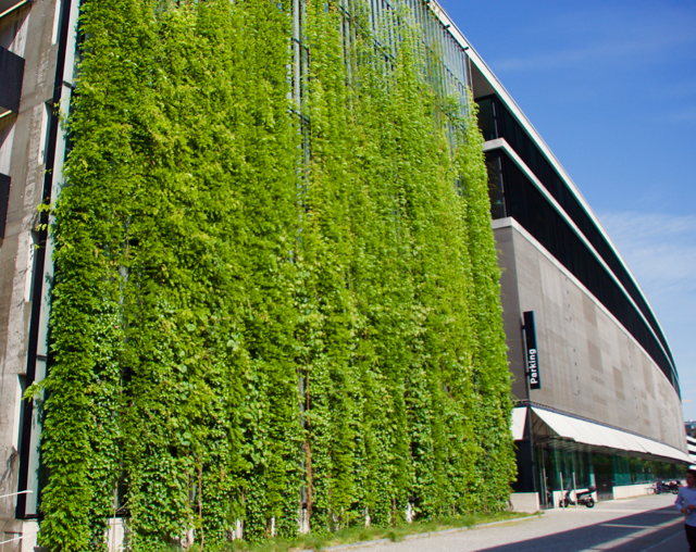 A cable supported green wall facade in Switzerland