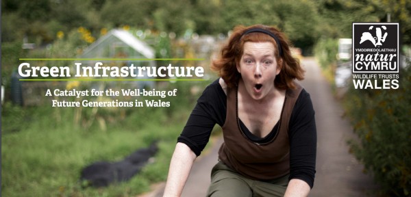 Welsh Green Infrastructure Guide