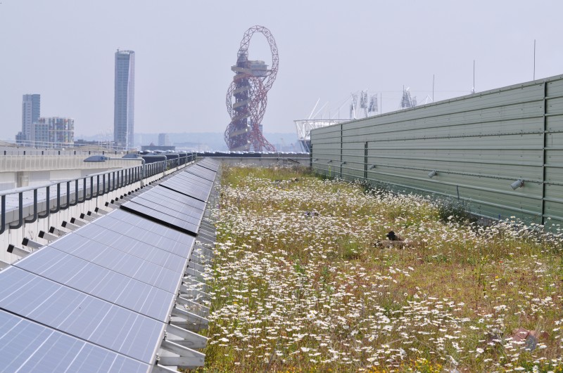 London Olympic's Solar Green Roof designed for biodiversity - S.Connop