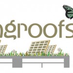 Making cities greener –  New Era for Green roofs in London