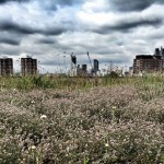 Dramatic Skyline over green roof in London