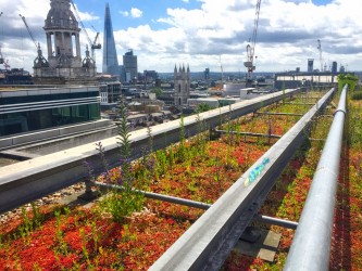 green roofs and facilities management