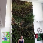 Green walls and facilities management