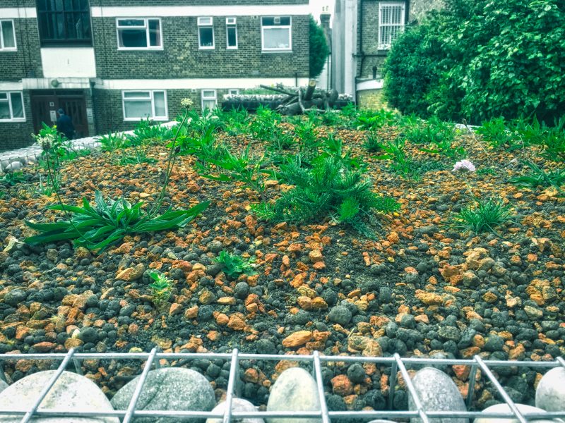 retrofitted green roofs London