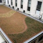 Green roof bylaws – from Argentina to San Francisco