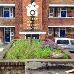 Small is Beautiful – Green roofs on sheds and shelters