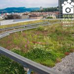 Nature based approach to green roofs – green roof beauty contest