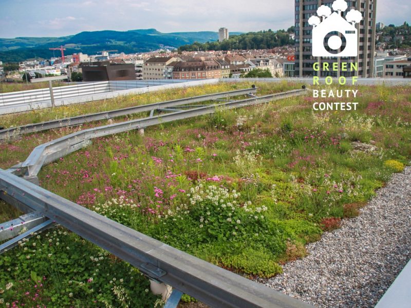 Nature based approach to green roofs