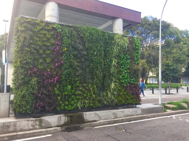 colombia - green walls