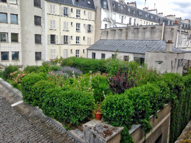 Intensive green roof France
