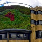 Bogotá could be one of the green wall capitals of the world