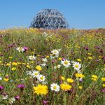 Vote on your favourite green roof photos – from around Europe