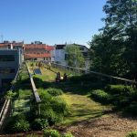 Czech buildings to be given financial support to implement green roofs