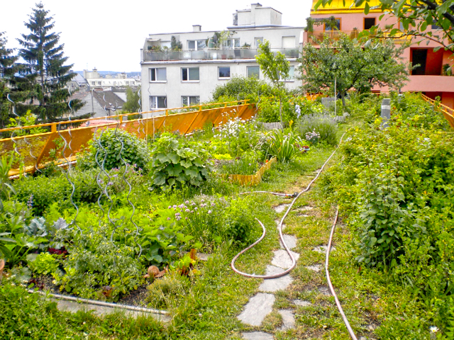 green infrastructure - urban food Vienna