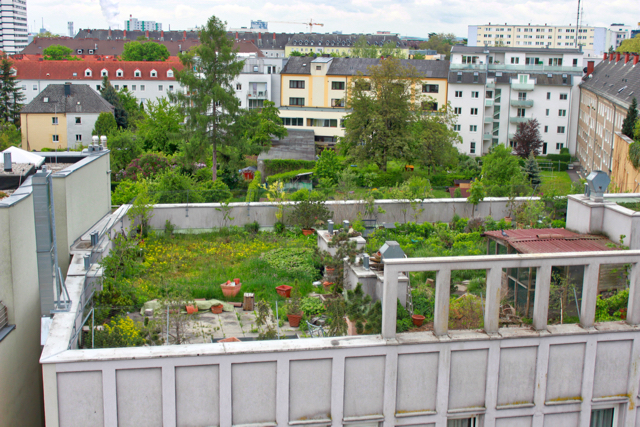 Linz - green roof- green infrastructure