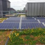 A green roof solar boost –  and a boost for nature too