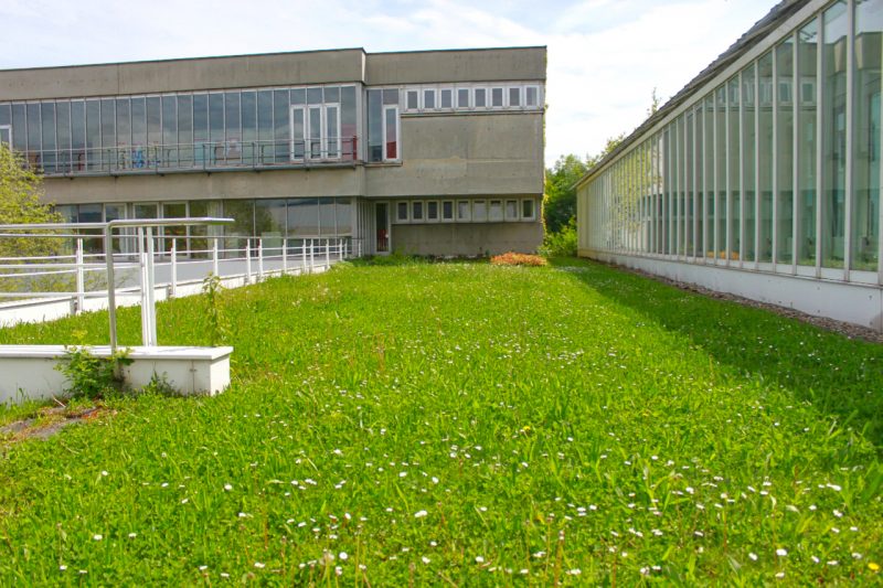 green roofs Linz Austrai