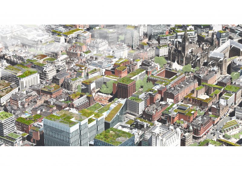 Northern Forest -green roofs for Manchester