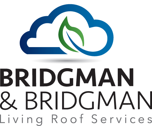Bridgman & Bridgman LLP logo