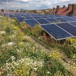 Green roof award winner 2018 – packing a sustainability punch