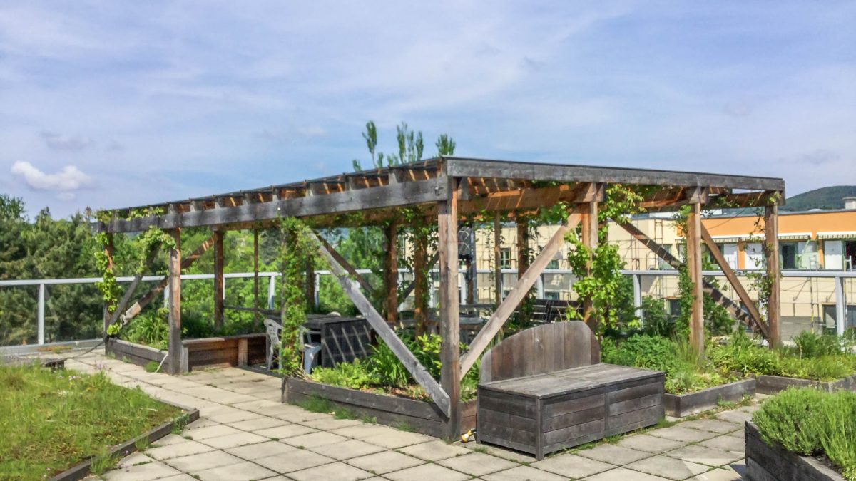 Vienna - solar intensive green roof