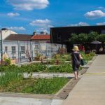 The impact of green roofs in Paris and the Île de France