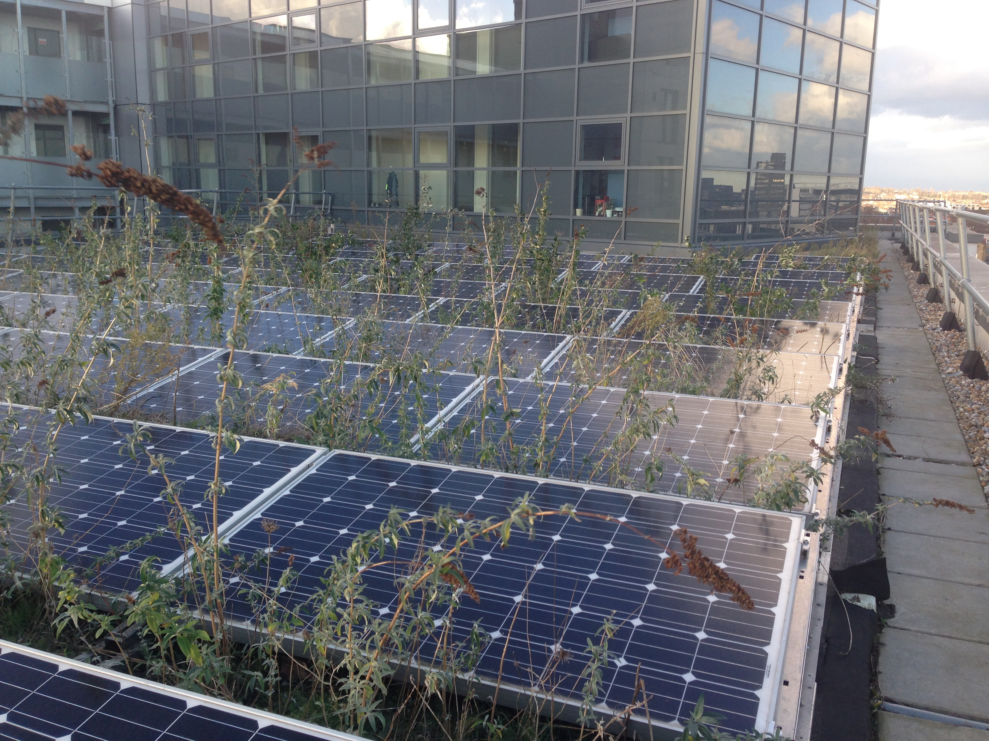 solar green roof - bade design