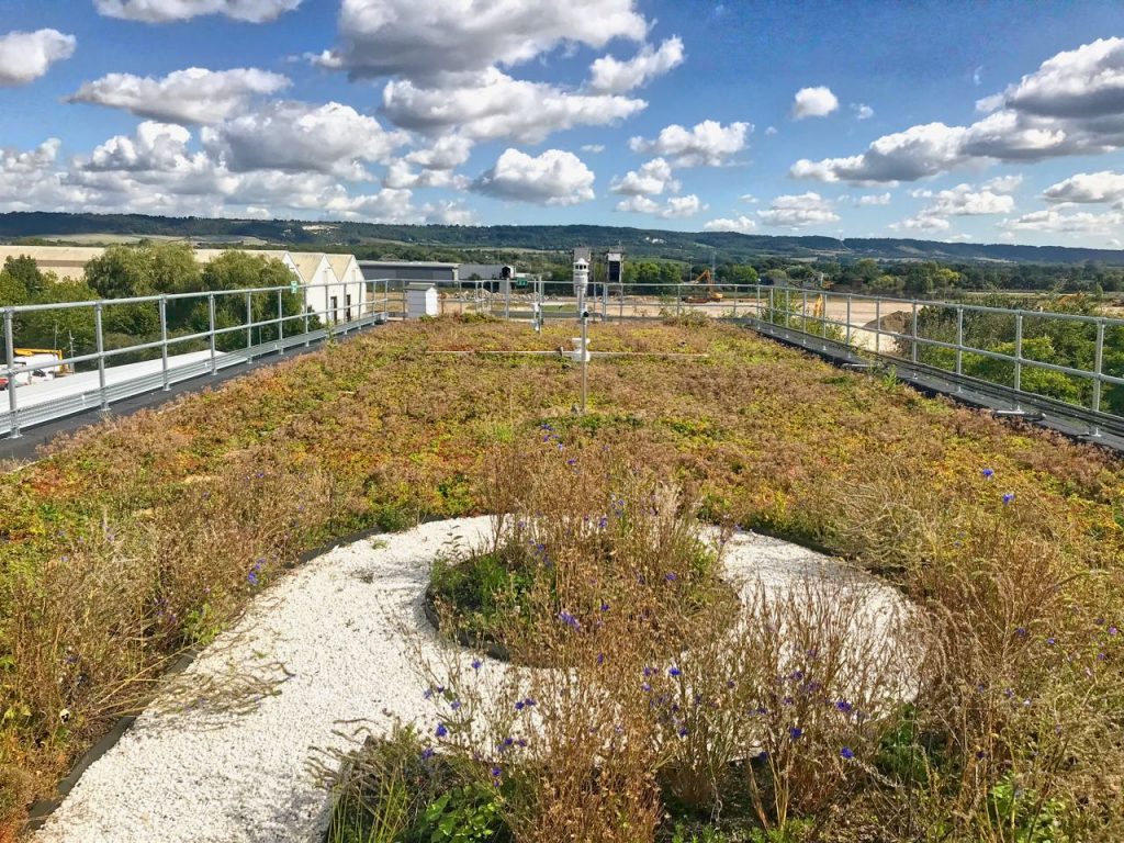 blue green roof - Polypipe