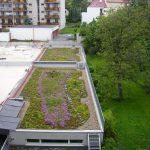 Brno provides €780,000 for green roofs