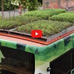 New a green roof bus acts as a research station too – Singapore