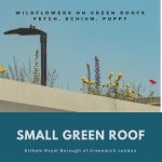 May is the time when small green roofs bloom